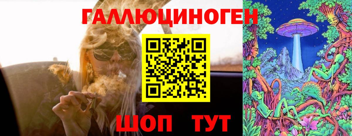 Старая Русса  Псилоцибиновые грибы MAGIC MUSHROOMS  Вход с VPN 